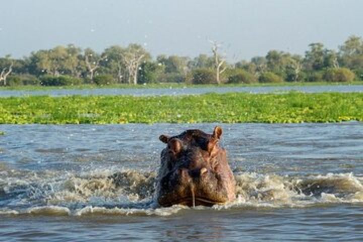 Private 2-Day Tour in Mikumi National Park from Dar es Salaam image