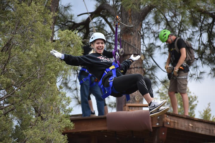 6-Zipline Adventure in the San Juan Mountains near Durango image