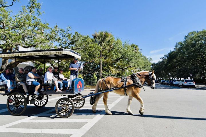 Daytime Horse-Drawn Carriage Tour of Historic Charleston image