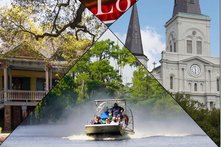 New Orleans City Tour with Swamp Tour Options image