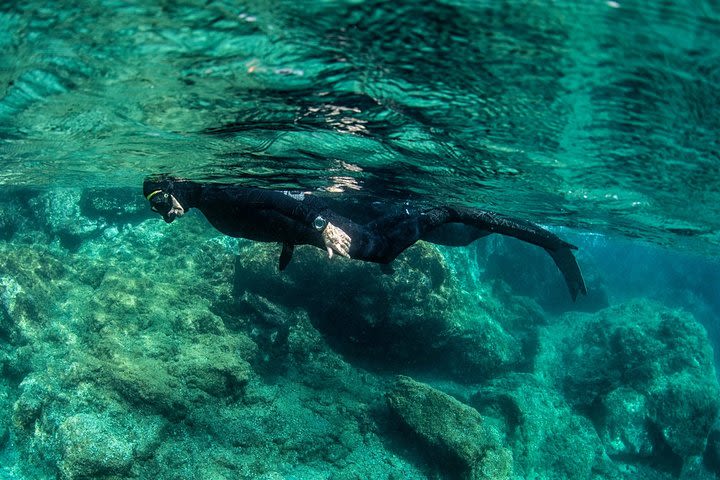 Wreck Snorkeling image