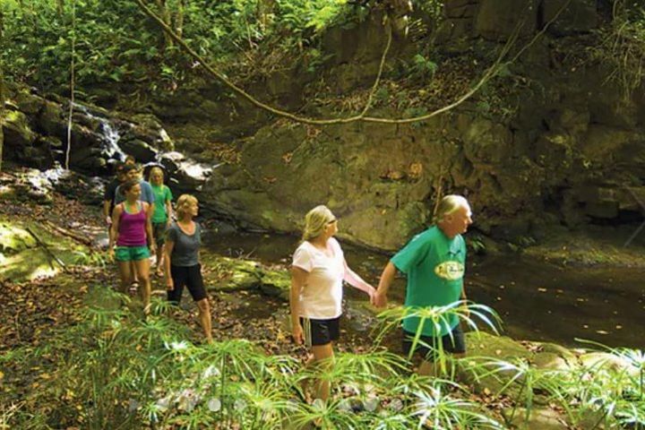 Paddle Kauai Jungle Streams and Hike image