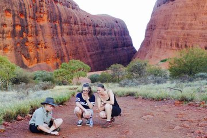 Afternoon Kata Tjuta Small Group Tour image