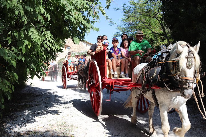 Horse and horse cart route through the landscapes of Nulles image