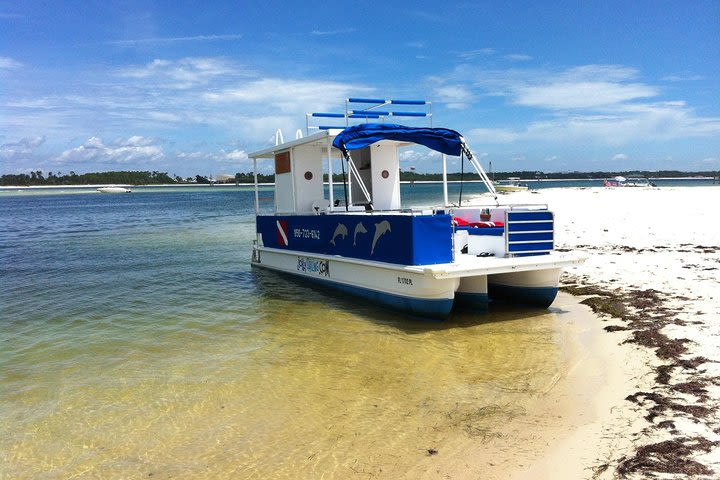 3 Hour Private Powerboat Dolphin Cruise with Remote Beach Stop up to 6 guests image