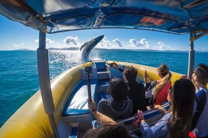 Ocean Rafting Tour to Whitehaven Beach, Hill Inlet Lookout & Top Snorkel Spots image