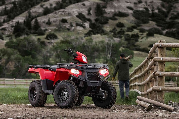 Quad Bike Safari in the Wilderness (ATV) image
