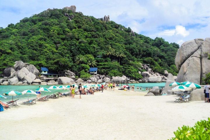 Koh Nangyuan & Koh Tao Speedboat Tour image