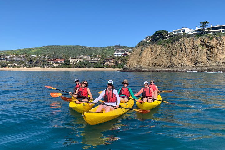 Laguna Beach Kayak Tour with Sea Lion Viewing image