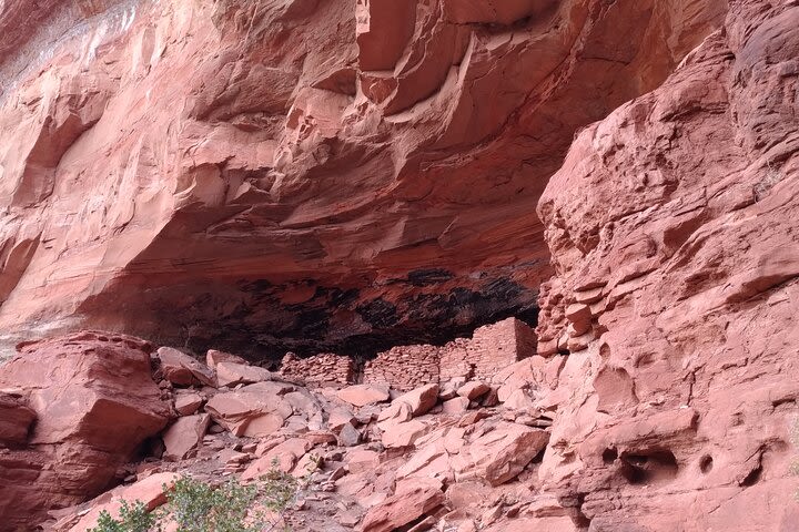 Half-Day Private Scenic Tour of Sedona image