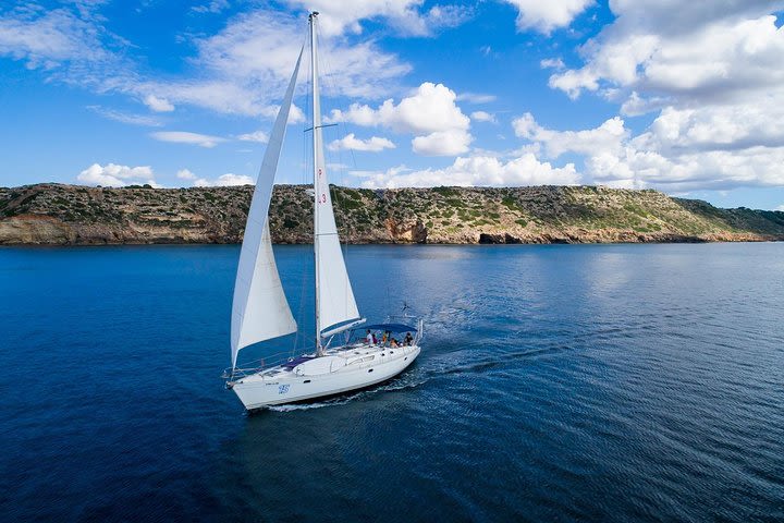 Half-Day Sailing Trip. Marine Reserve of the Bay of Palma (VIP). image