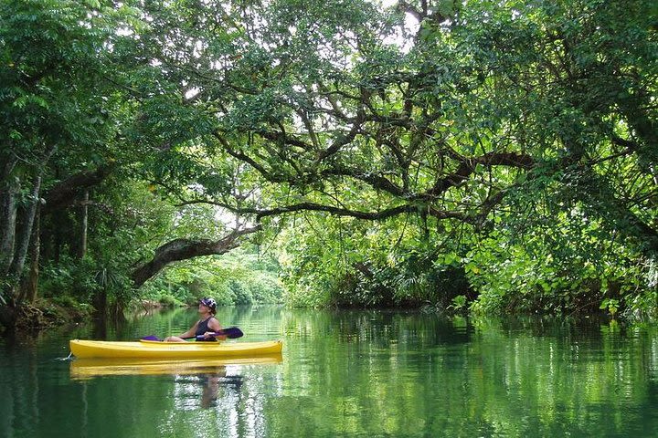 Small Group Kayaking Tour on the Rentapao River from Port Vila image