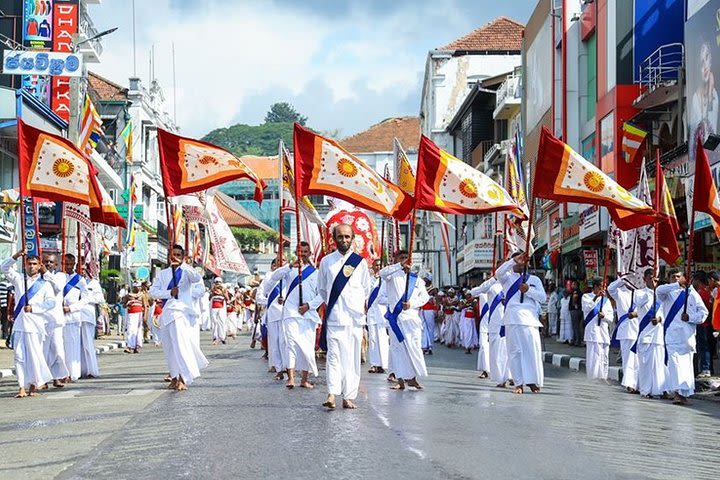 Kandy Esala Perahera (Day 11)  image