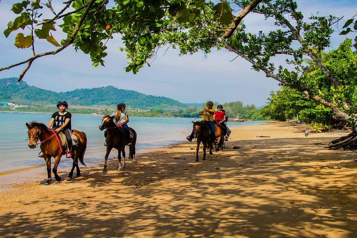 Krabi Horse Riding Program image