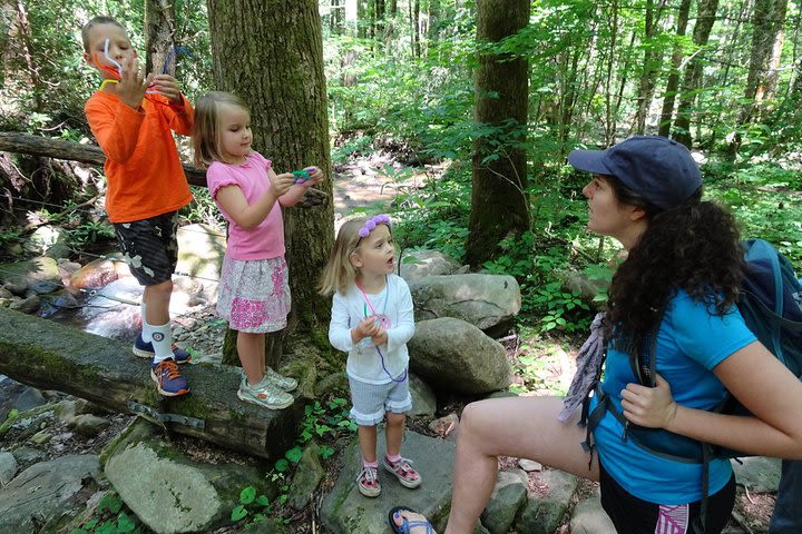 Sharing Nature with Children image