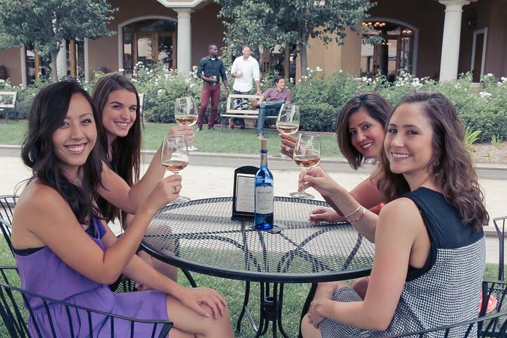 All-Inclusive Sonoma Wine and Picnic Tour image