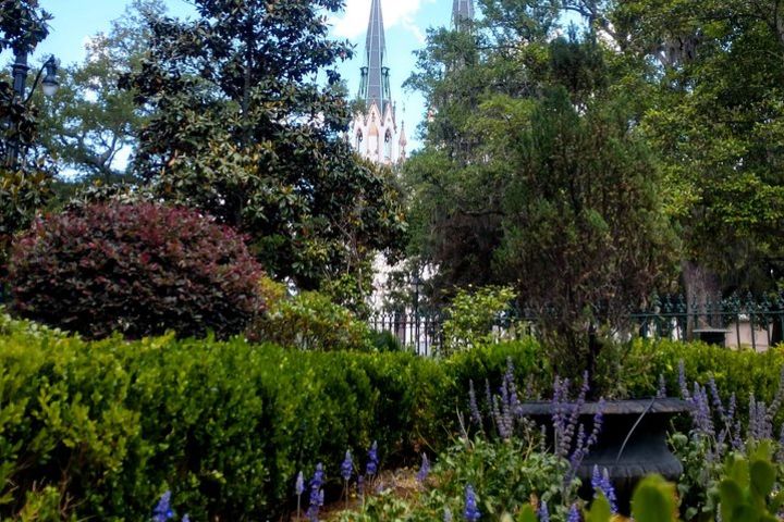 Botanical Walking Tour of Savannah image