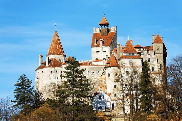 Bran Castle, Peles Castle and Brasov City - 12h Private Tour from Bucharest  image