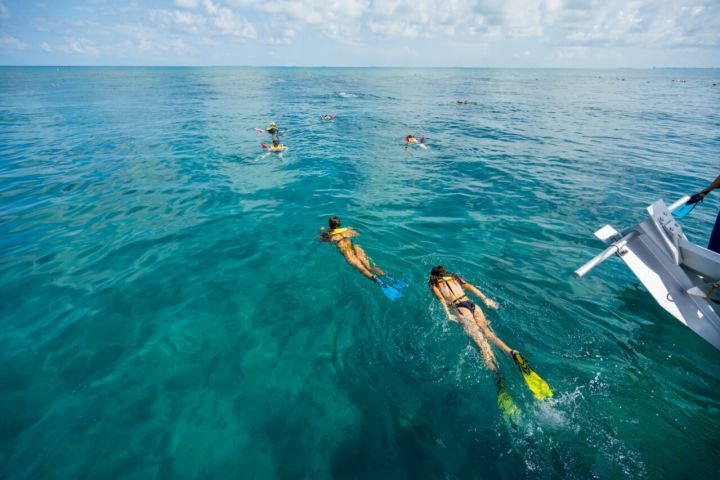 Key West Reef Snorkeling - Afternoon Excursion image