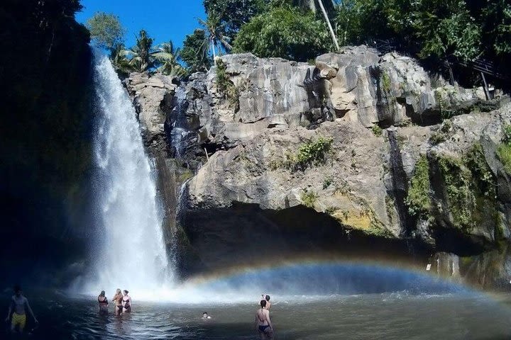 Bali Day-Tour: Ubud Waterfall Half Day Trip image