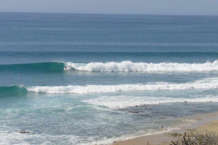 FULL Day Surfari  image