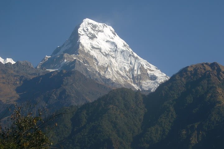 Budget Trekking in Nepal - Rapid Annapurna Base Camp Trek - 7 Days image