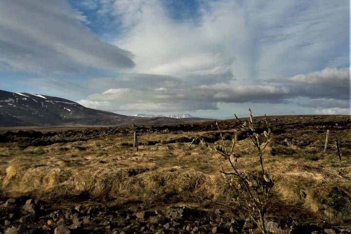 Reykjanes peninsula image