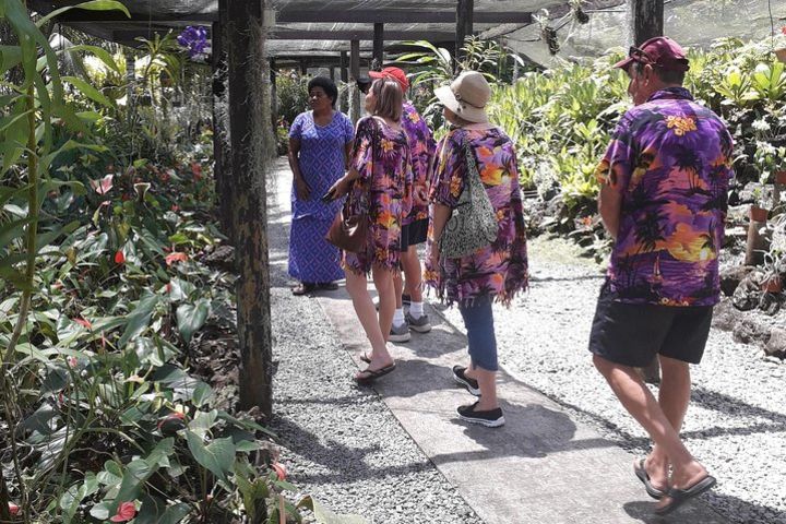 Nadi Sightseeing Including Viseisei Lookout, Village Tour, Garden & Temple Tour image