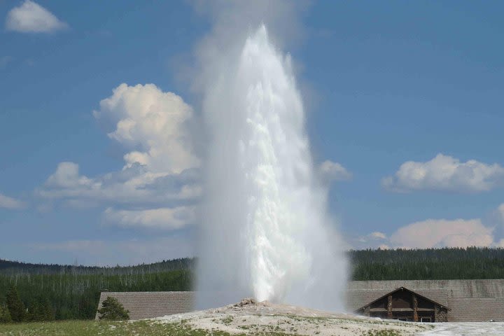 Yellowstone National Park - Full-Day Lower Loop Tour from Jackson Hole image