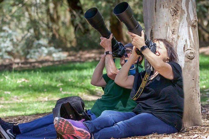 Capture Canberra Photography Tours image