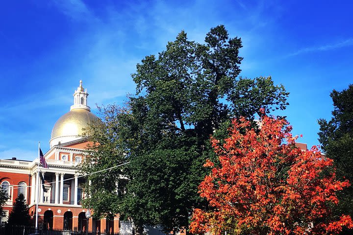 Freedom Trail: Small Group Tour of Revolutionary Boston (2.5 Hours) image