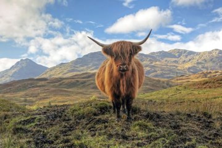 Eilean Donan, Loch Ness & The North West Highlands - 2 Day Tour from Edinburgh image