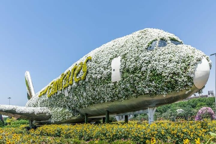 Super Saver Combo:- Dubai Frame & Miracle Garden - Instant Confirmation image