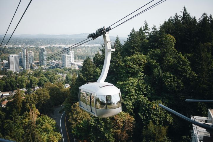 Portland's Top Sights Half-Day City Tour image