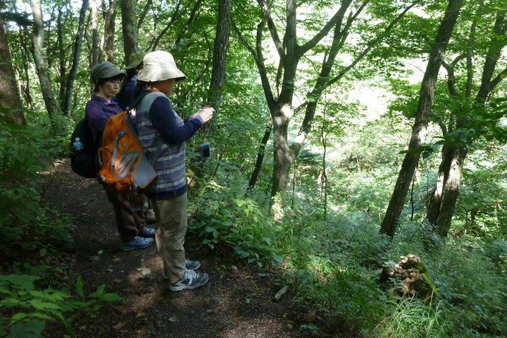 Old Nakasendo trekking from Karuizawa-Beyond Sugahi Pass to Sakamoto Hotel- image