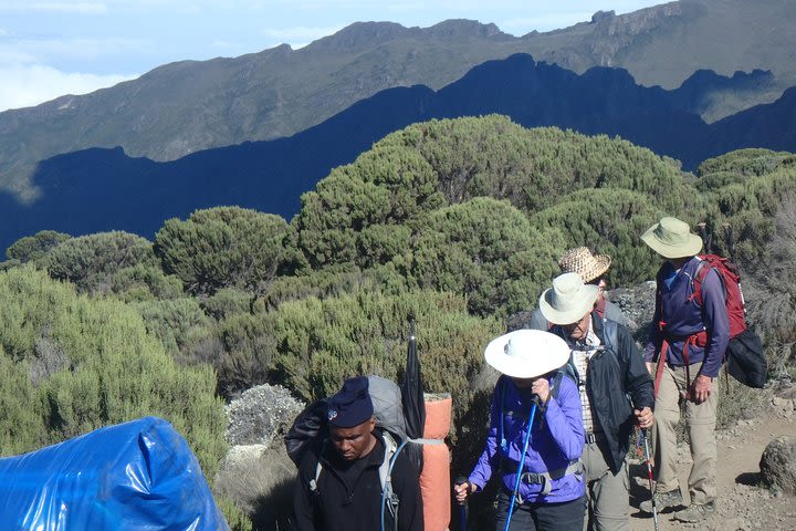 Kilimanjaro 2 days Hike image