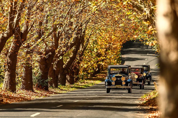 Blue Mountains Vintage Cadillac Tour with Local Guide image