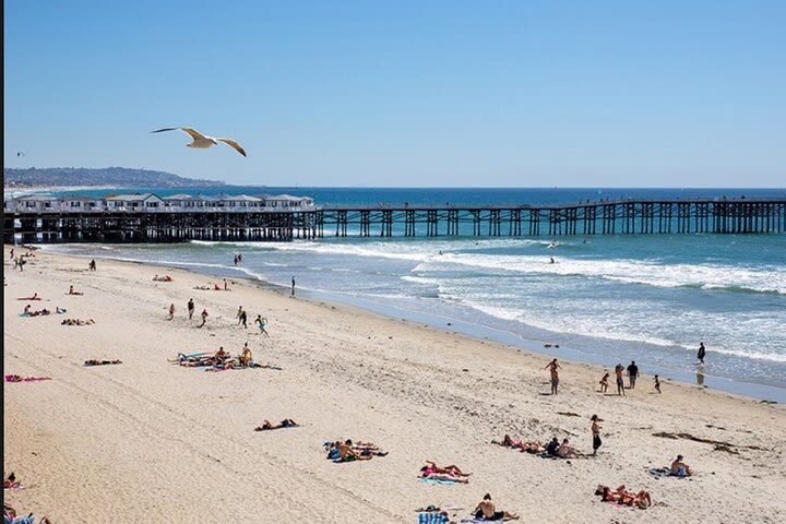 Semi-Private Surf Lesson image