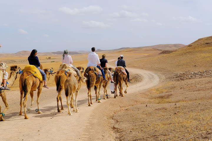 Marrakesh Day Trip From Casablanca With Camel Ride And Lunch At Agafay Desert image