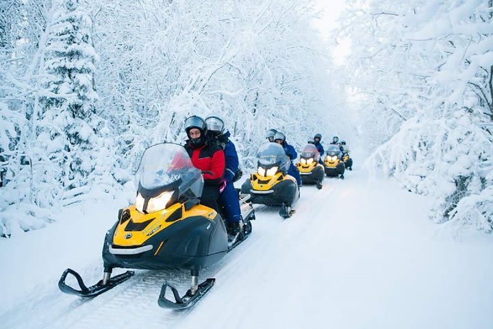 St. Petersburg: Snowmobile Forest Safari Adventure image