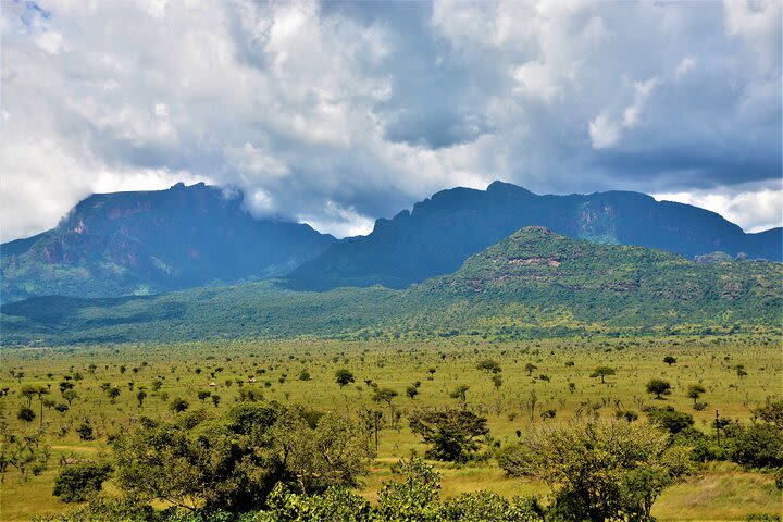 Pian Upe game Reserve image