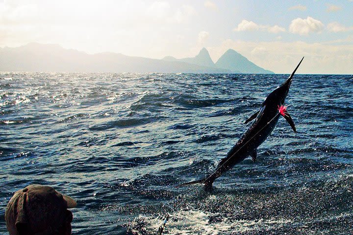 St Lucia Sport Fishing Tour image