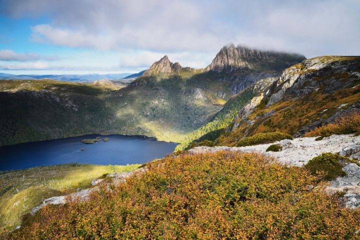Cradle Mountain Private Day Tour image