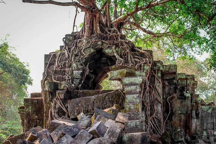 Featured Private Angkor Wat Tours, Bayon, Ta Prohm, Bantey Srei And Beng Mealea image