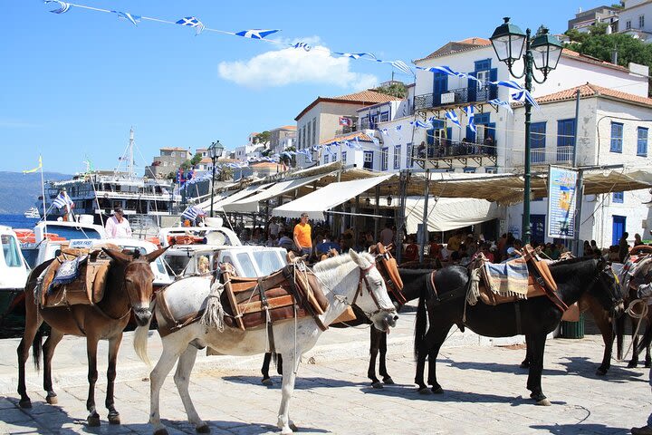 Full-Day Private Excursion to Hydra Island from Athens image