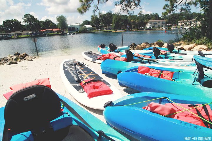 Guided Eco-Tour - Kayak or Paddleboard - Swim with Manatees image