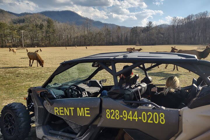 UTV ECO WILDERNESS ADVENTURE IN THE SMOKY'S  image