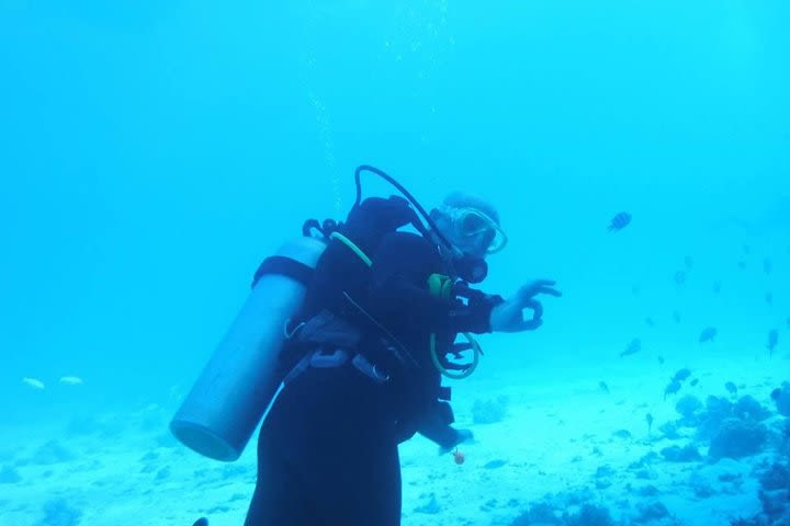 PADI Scuba Diver image