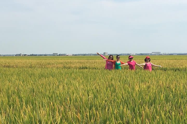 From Kuala Lumpur:Kuala Selangor Countryside Signature  image