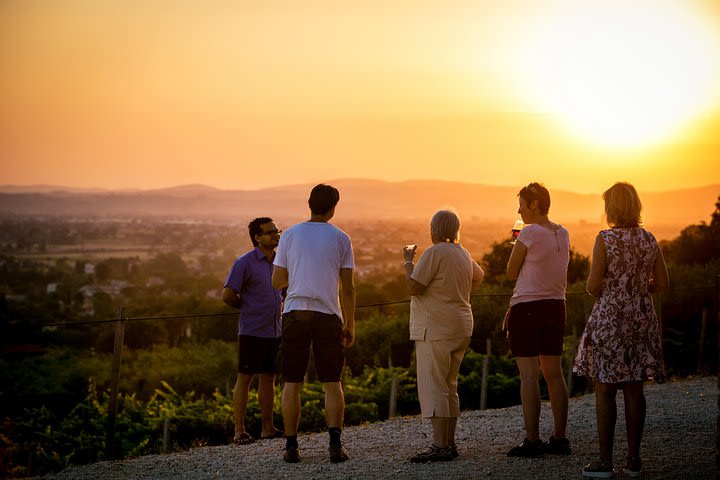 Winery tour with wine tasting from Assisi image